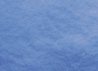 TSE400 Pearl