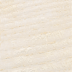 CIT9280 Краситель кромороллер белый