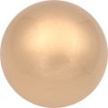APL23221